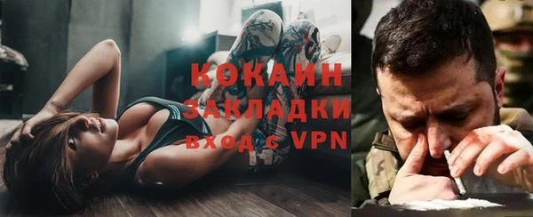 хмурый Алзамай