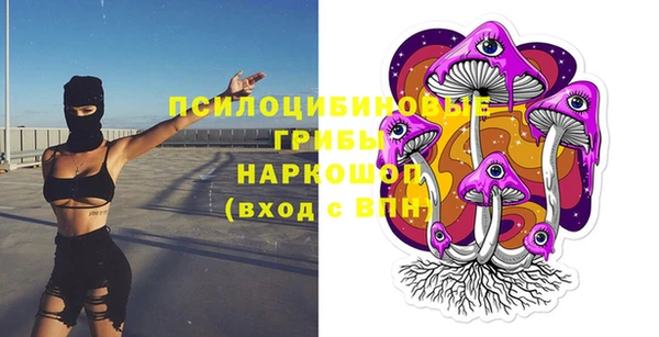 молекула духа Покачи