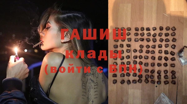 хмурый Алзамай