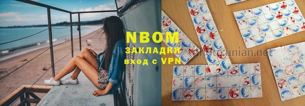 хмурый Алзамай
