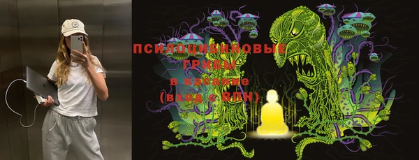 первитин Алексин
