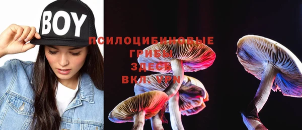 хмурый Алзамай