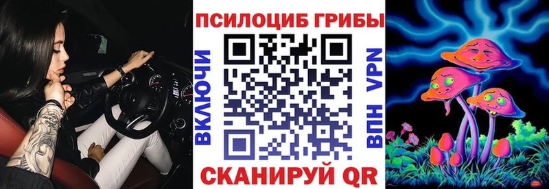Галлюциногенные грибы Psilocybe  Краснокамск 