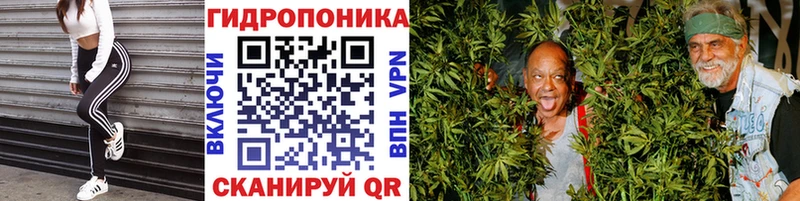закладки  Краснокамск  Бошки марихуана индика 